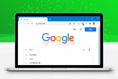亲测Any-Proxy在线反向代理源码-启航资源