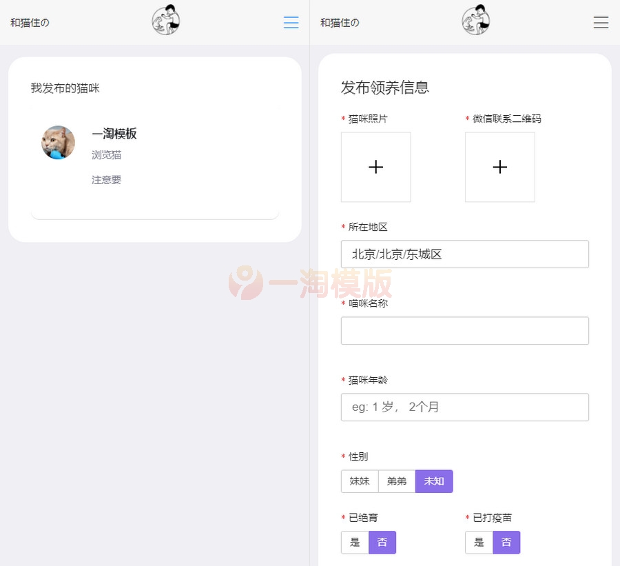 图片[2]-社交电商卡盟租号商城陪玩建站代刷电脑手机端官网源码-启航资源