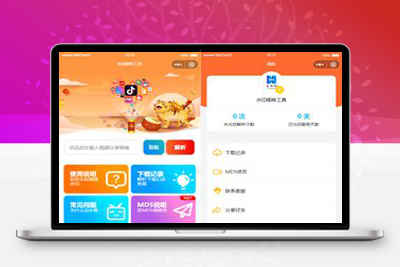 亲测全网最新去水印独立版带解析接口服务器+三套前端-启航资源