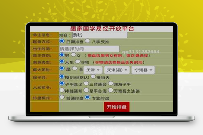 九龙道长同款样式八字排盘程序 八字排盘算命源码-启航资源