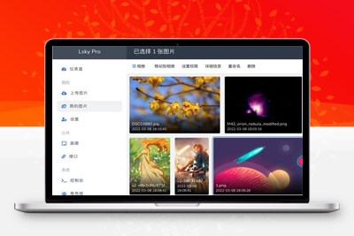 多功能PHP图床源码：Lsky Pro开源版v2.1-启航资源