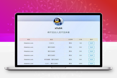 简约好看的域名出售单页php源码-启航资源