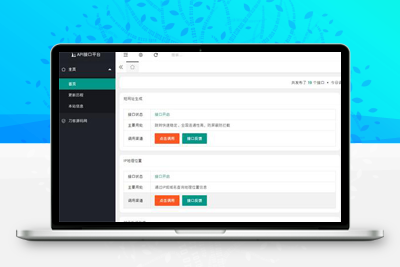 亲测2024全新开发API接口调用管理系统网站源码 附教程-启航资源