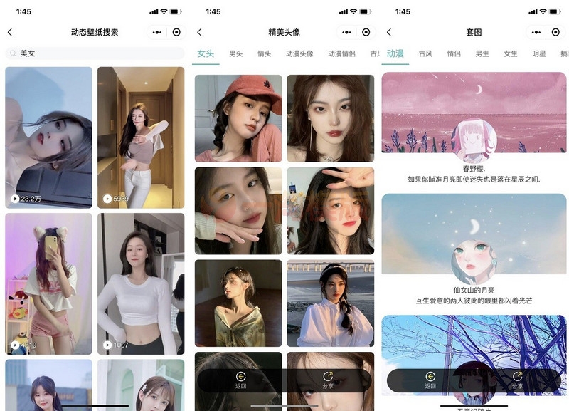 图片[2]-最新修复版云开发壁纸小程序源码/新版大气UI微信QQ双端壁纸小程序源码-启航资源
