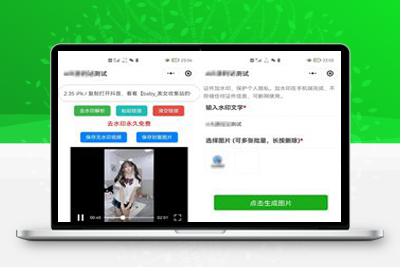 亲测简约短视频去水印加图片多样化加水印微信小程序源码下载支持多流量主-启航资源